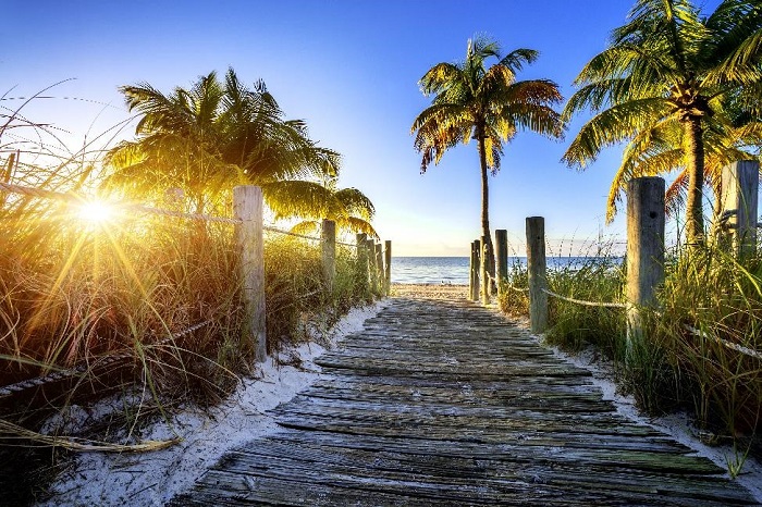beach boardwalk scene with palmtrees and ocean in the background, during sunset